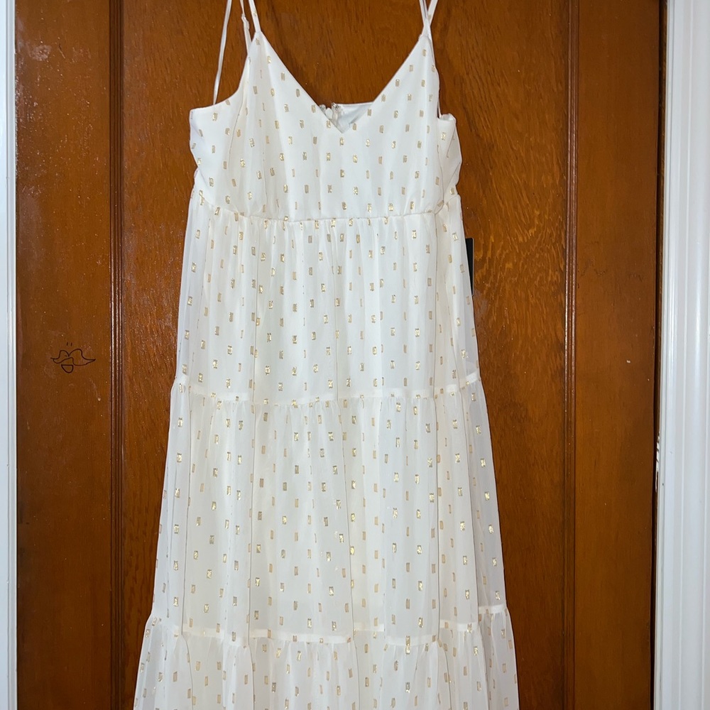 Express Chiffon Maxi Dress - Picture 4 of 7